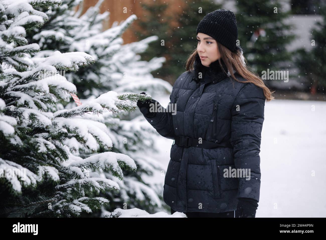 Attractive young woman choose Chrisstmas tree on outdoor trees farm. Woman smell fir tree Stock