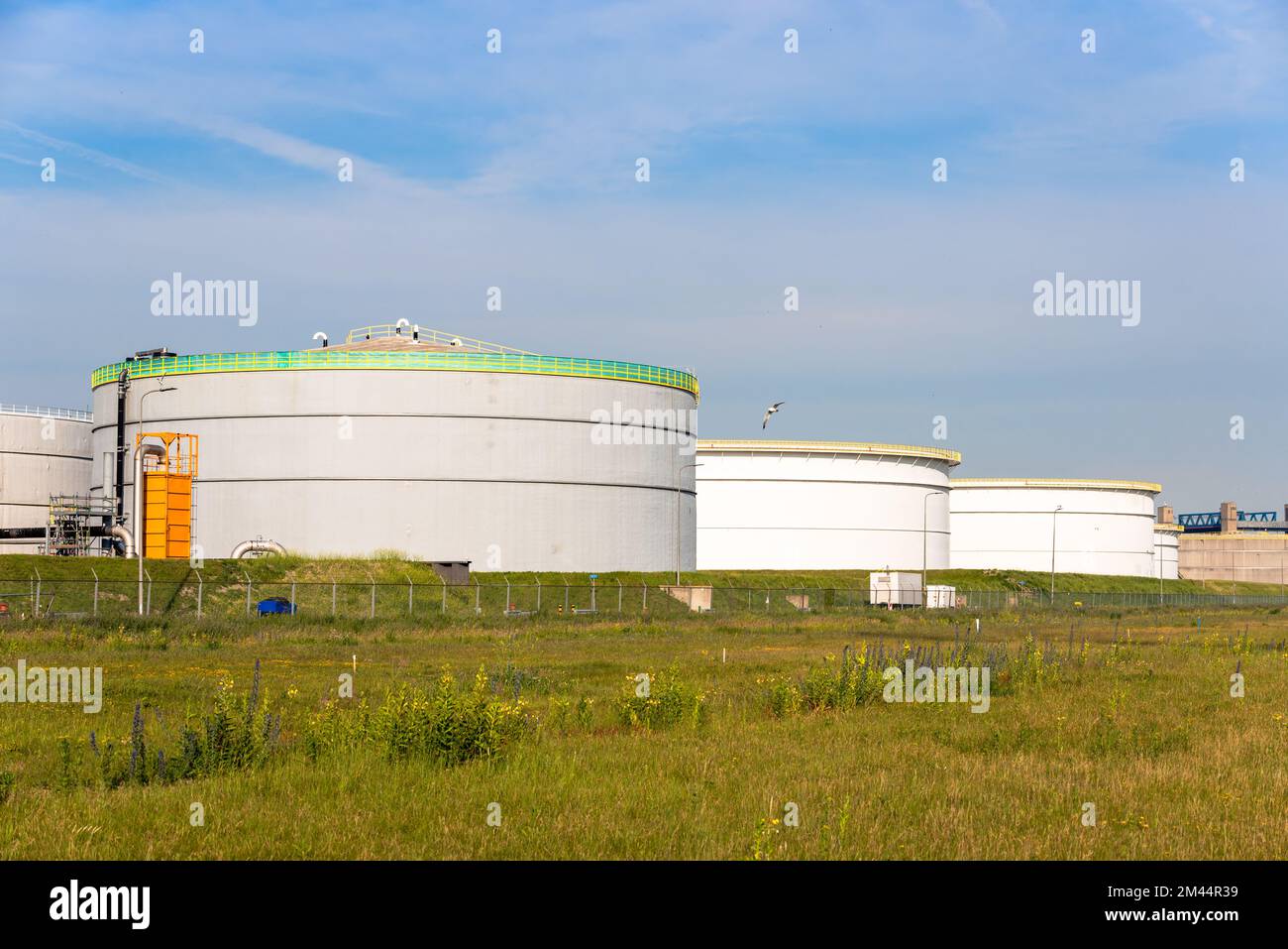 Large steel tanks for crude oil storage on a sunny summer day Stock