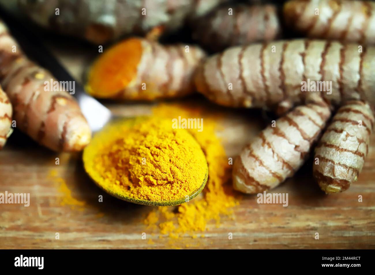 Turmeric. Turmeric root. Powder turmeric seasoning. Stock Photo