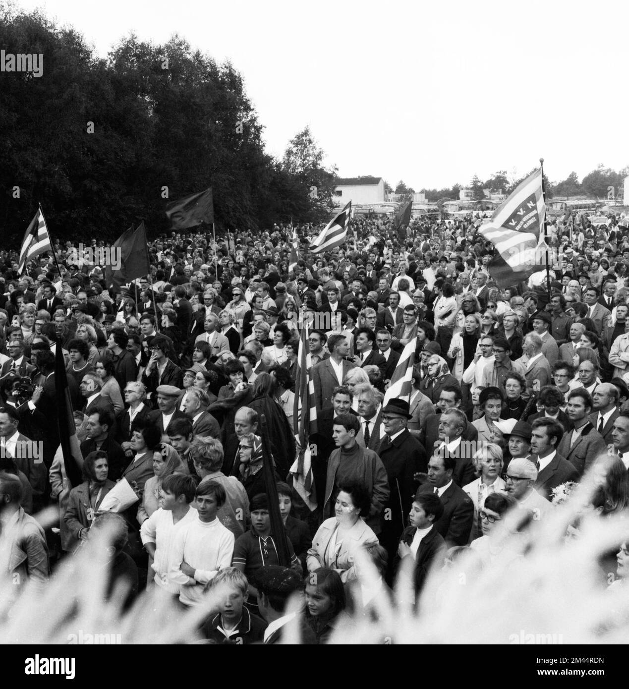 Nazi Flower The traditional tribute to the dead Russians, soldiers and victims of ...
