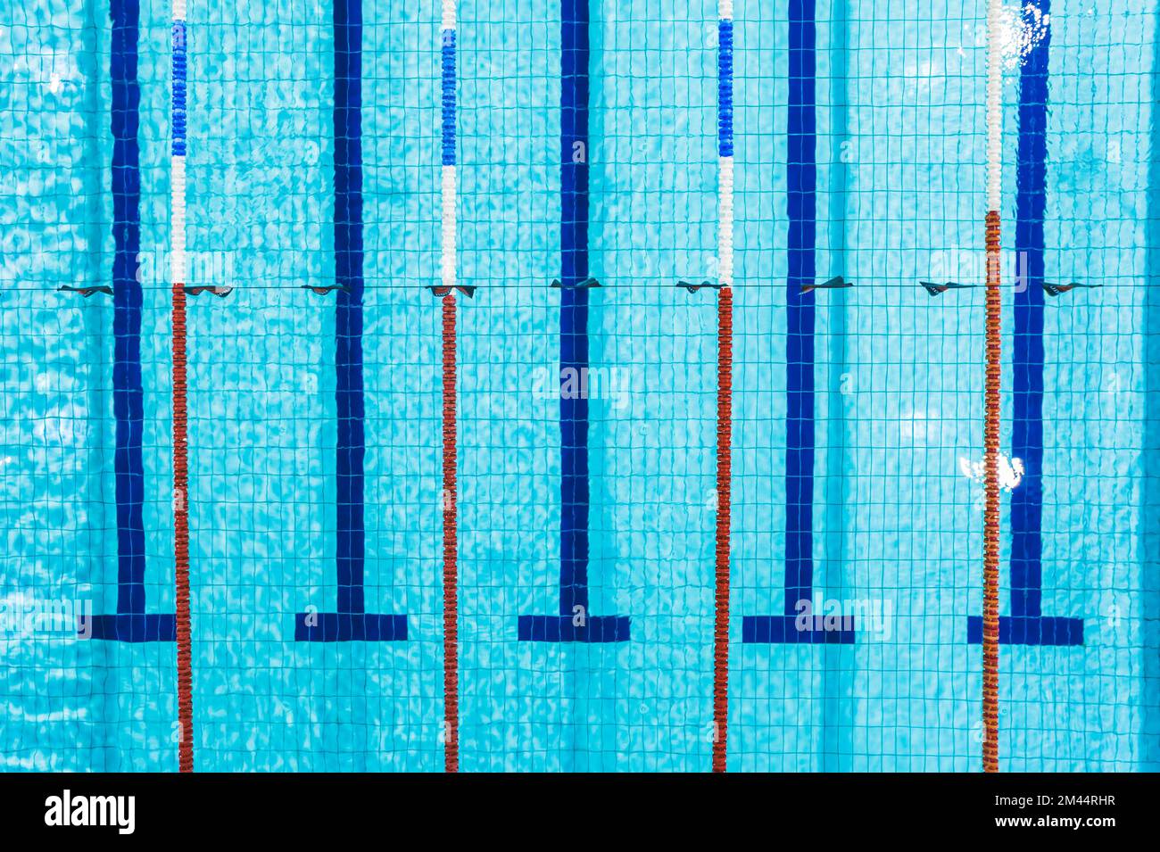 Aerial view of an empty swimming pool with five lanes divided with lane ropes. High quality photo Stock Photo