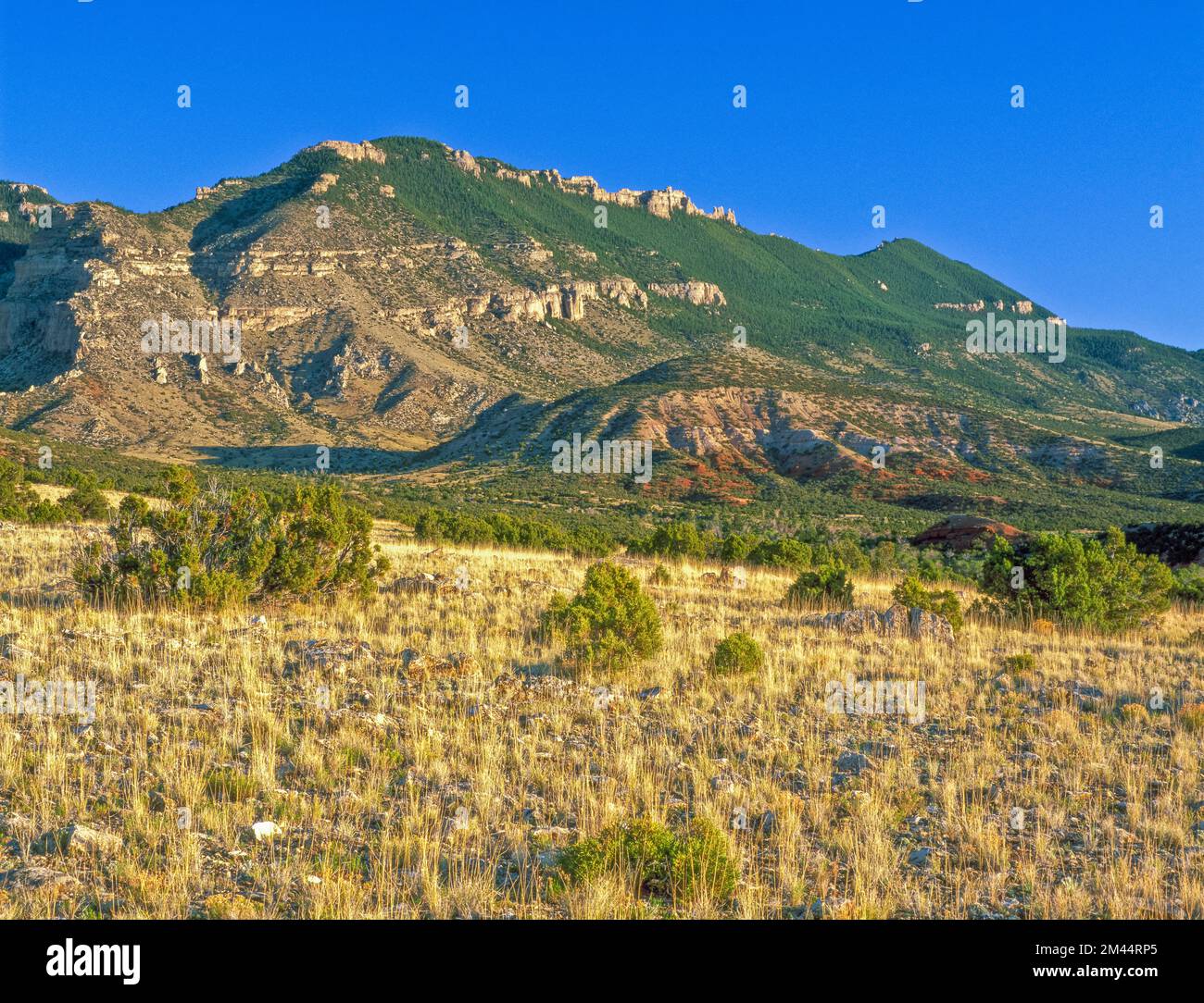 pryor mountains near bighorn canyon east of warren, montana Stock Photo