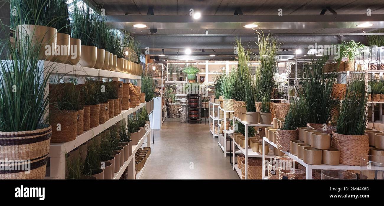 The interior of a large flower shop-warehouse. Flowers and plants on the shelves. Passage perspective. without people Stock Photo