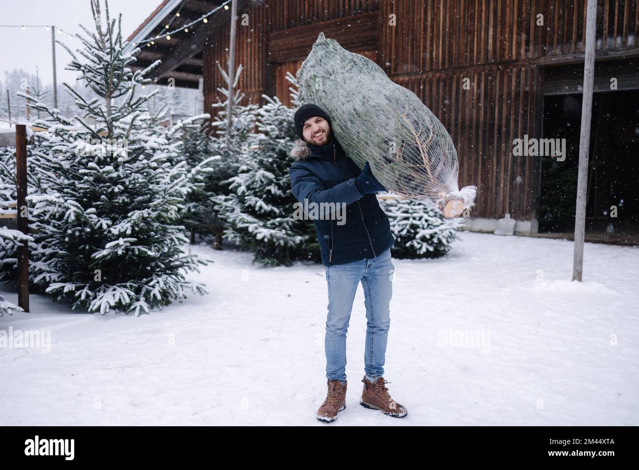 Handsome bearded man holding wrapped Christmas tree on fair. Happy male bring fir tree. Stock Photo