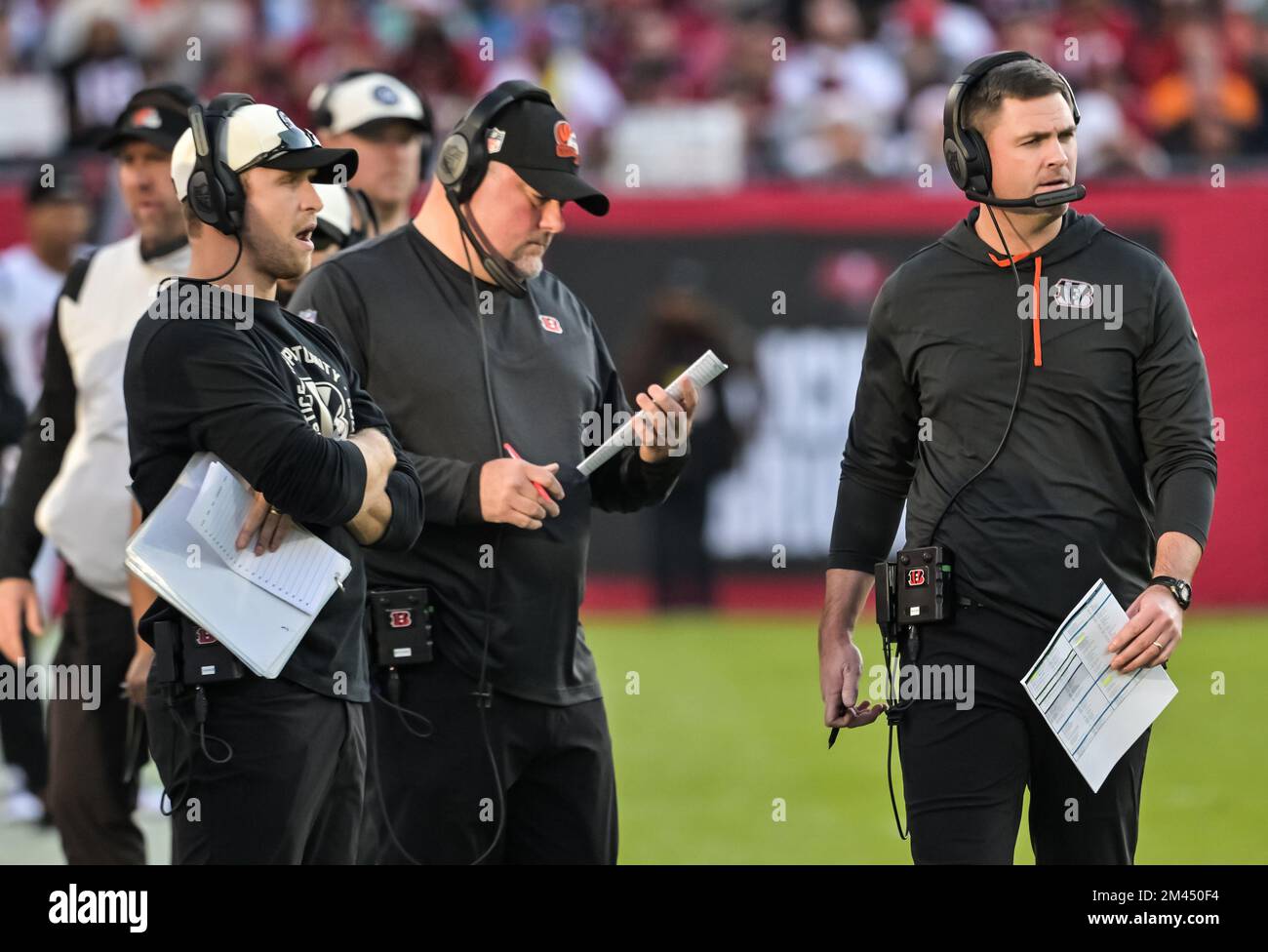 PHOTOS: Cincinnati Bengals at Tampa Bay Buccaneers, Dec. 18