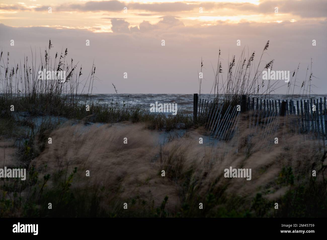 Colorful sunrise over a white sandy beach with sea oats in the foreground. Isle of Palms, South Carolina. Stock Photo