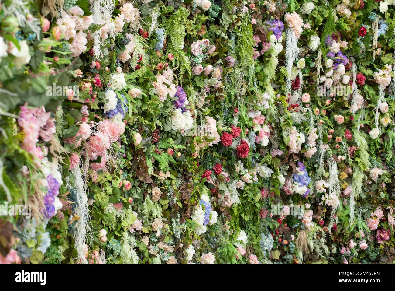 Garden Roses Texture Texture of colors. Flowers in park. Roses in garden. Background of dry ...