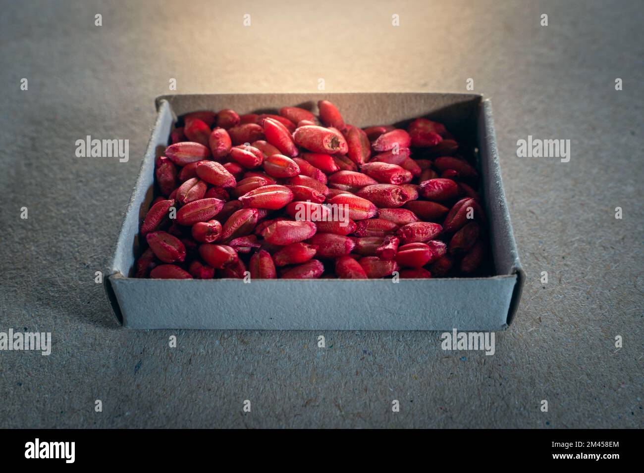 Red wheat poison from rats and mice close up Stock Photo