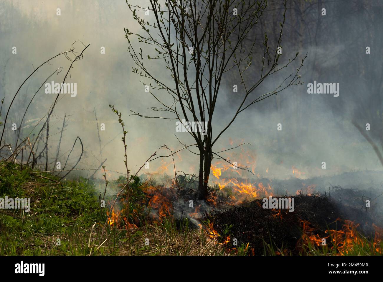 Fire in street. Smoke and fire. Landfill is burning. Environmental hazards. Air pollution Stock
