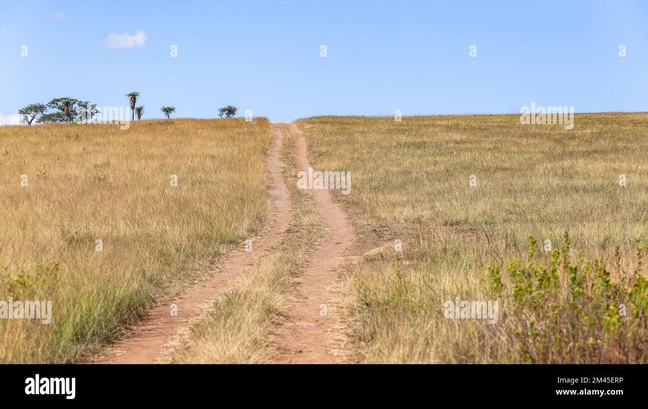 Wilderness rural route dirt vehicle tracks up and over grass hill towards blue sky distance perspective abstract explore concept photo of scenic lands Stock Photo