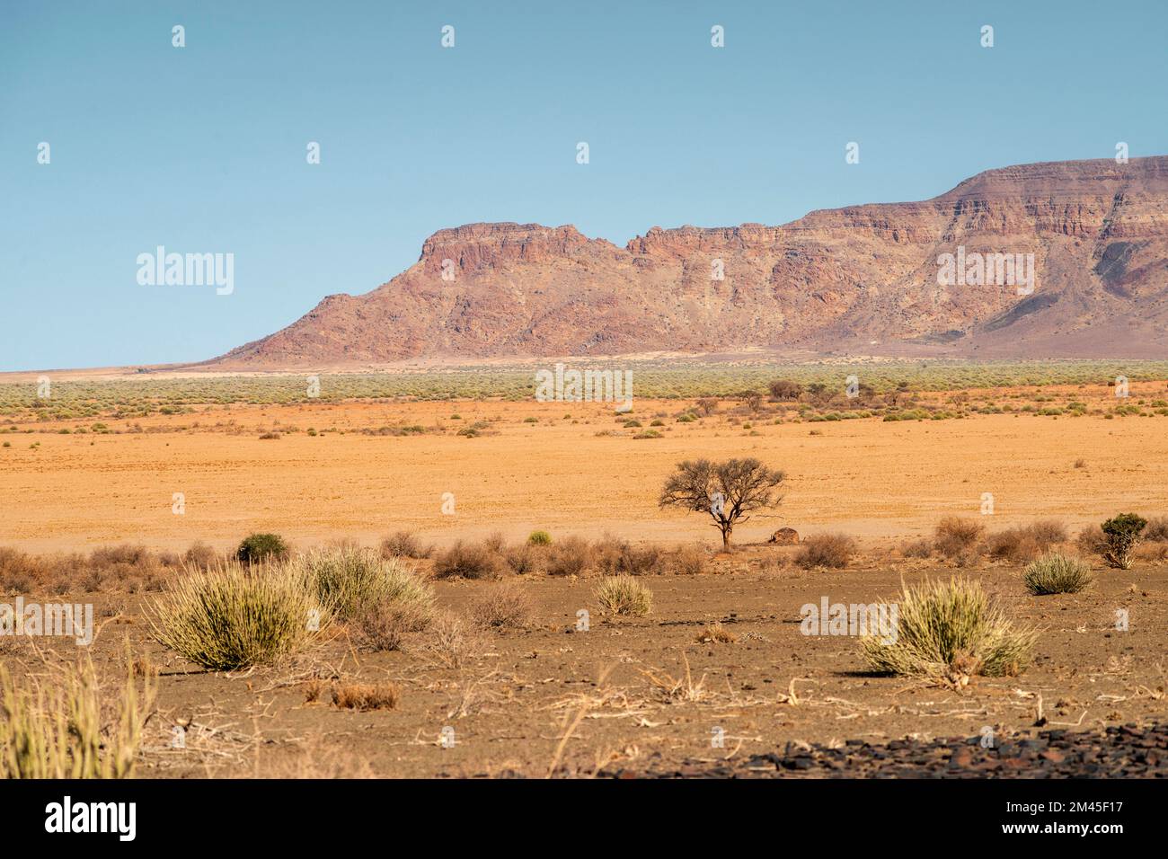 Namibia desert landscape with distant mountain ridge Stock Photo