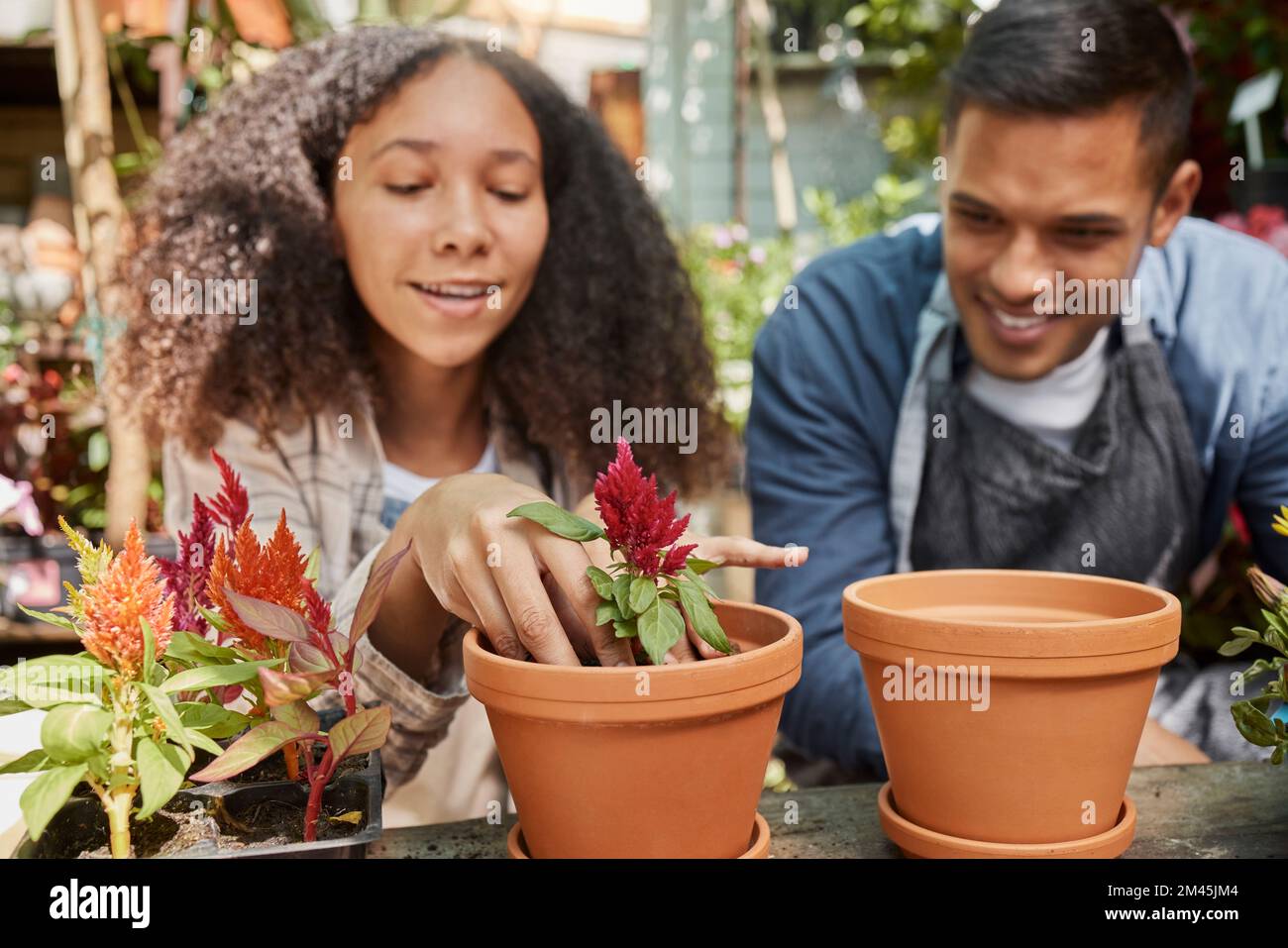Couple, planting flowers and working in garden together for plant