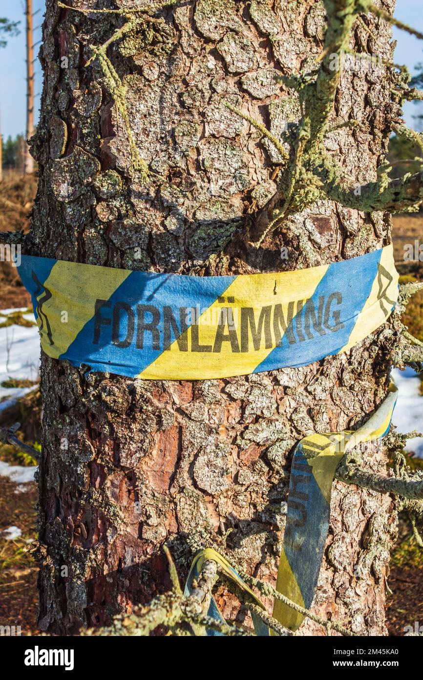 Warning sign for ancient monument on a tree trunk in Swedish Stock Photo