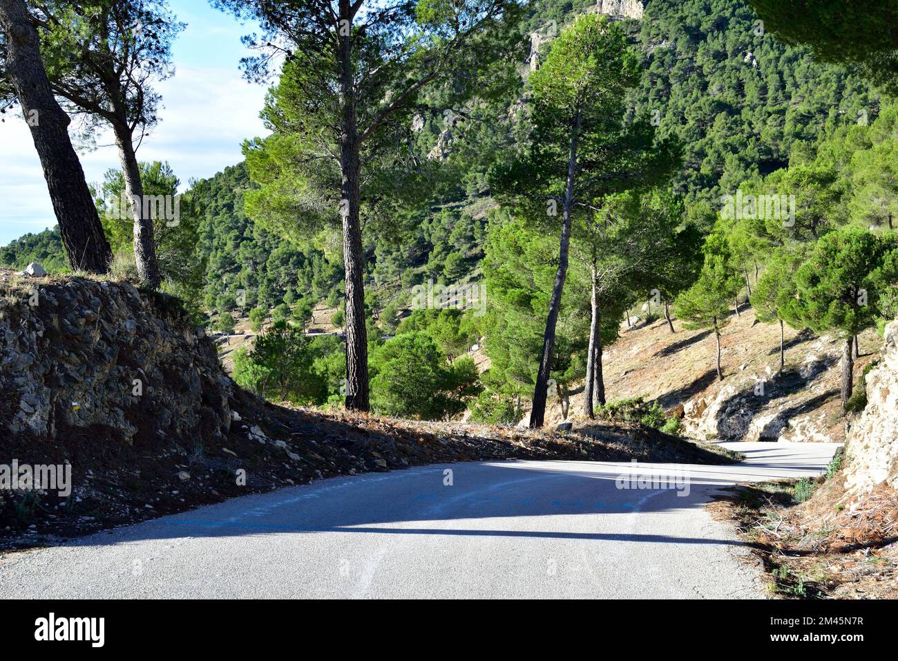 Winding mountain road through the forests of Spain Stock Photo