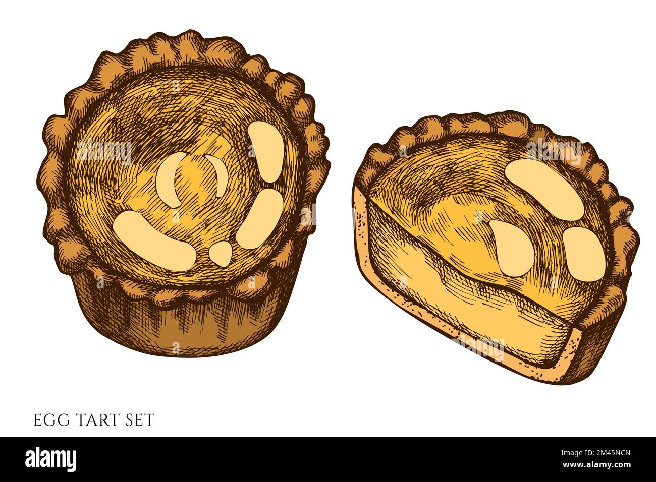 Asian food hand drawn vector illustrations collection. Colored egg tart