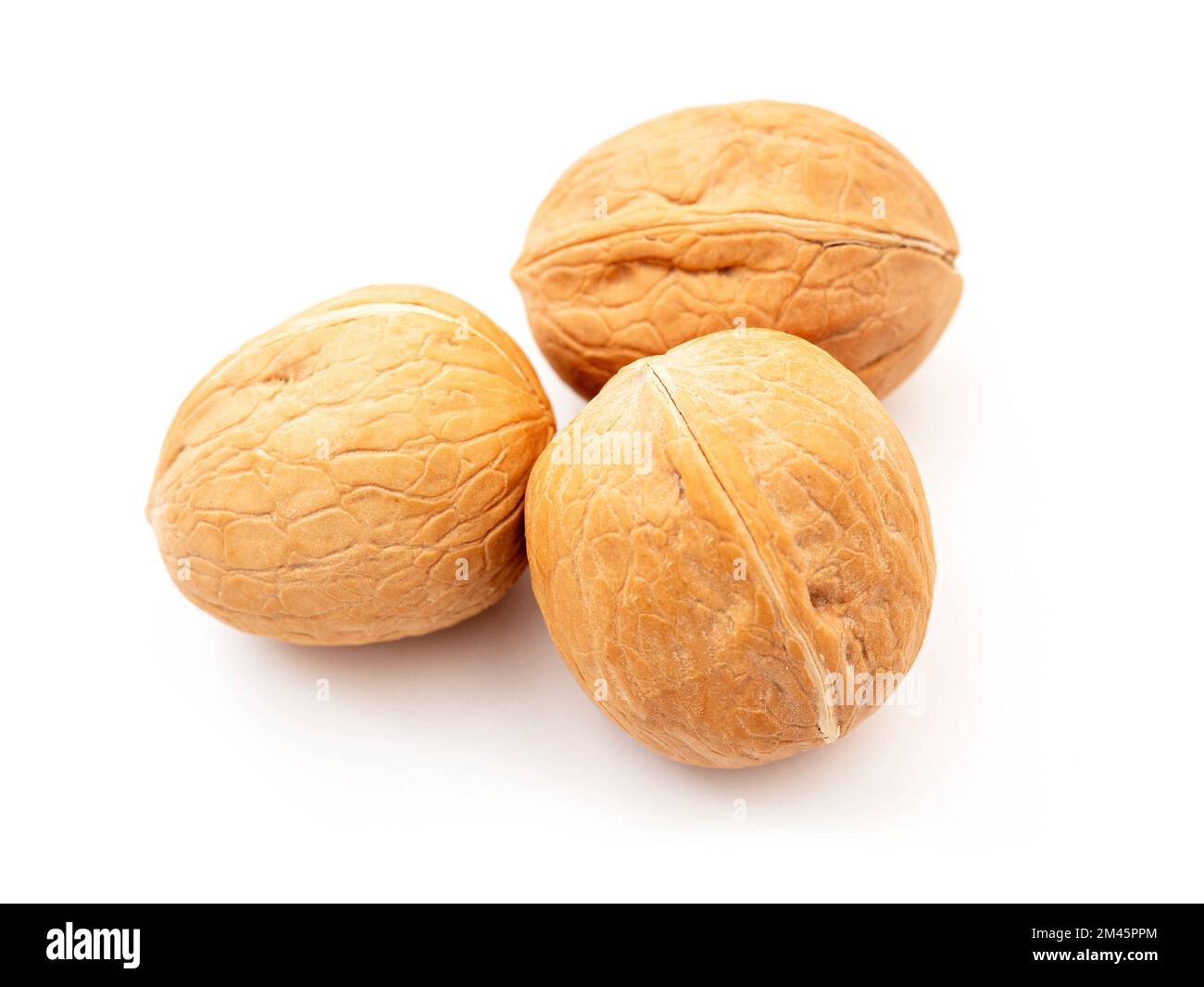 Close-up of three whole walnuts isolated on white, side view Stock ...