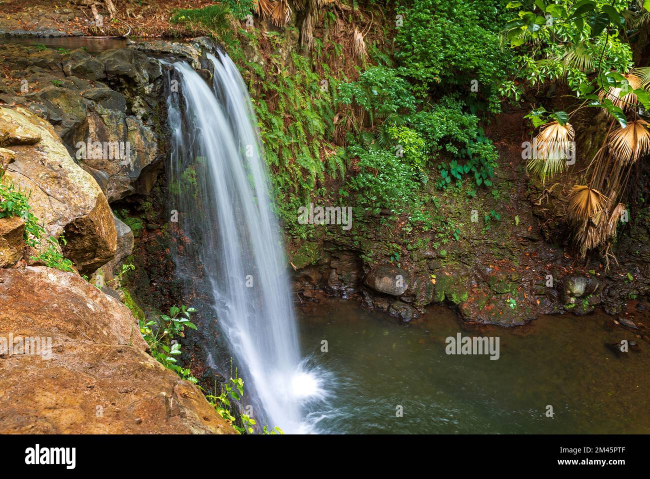 KlaCa waterfall is the hidden gem in southern Mauritius. Close to souillac and Gris Gris beach. splendid clear water and beautiful calm green area. Stock Photo