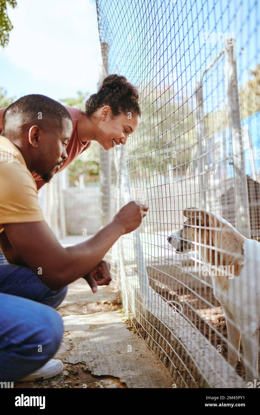 Love, dog and couple at an animal shelter for adoption at an outdoor rescue center or pound. Welfare, charity and young man and woman doing volunteer Stock Photo