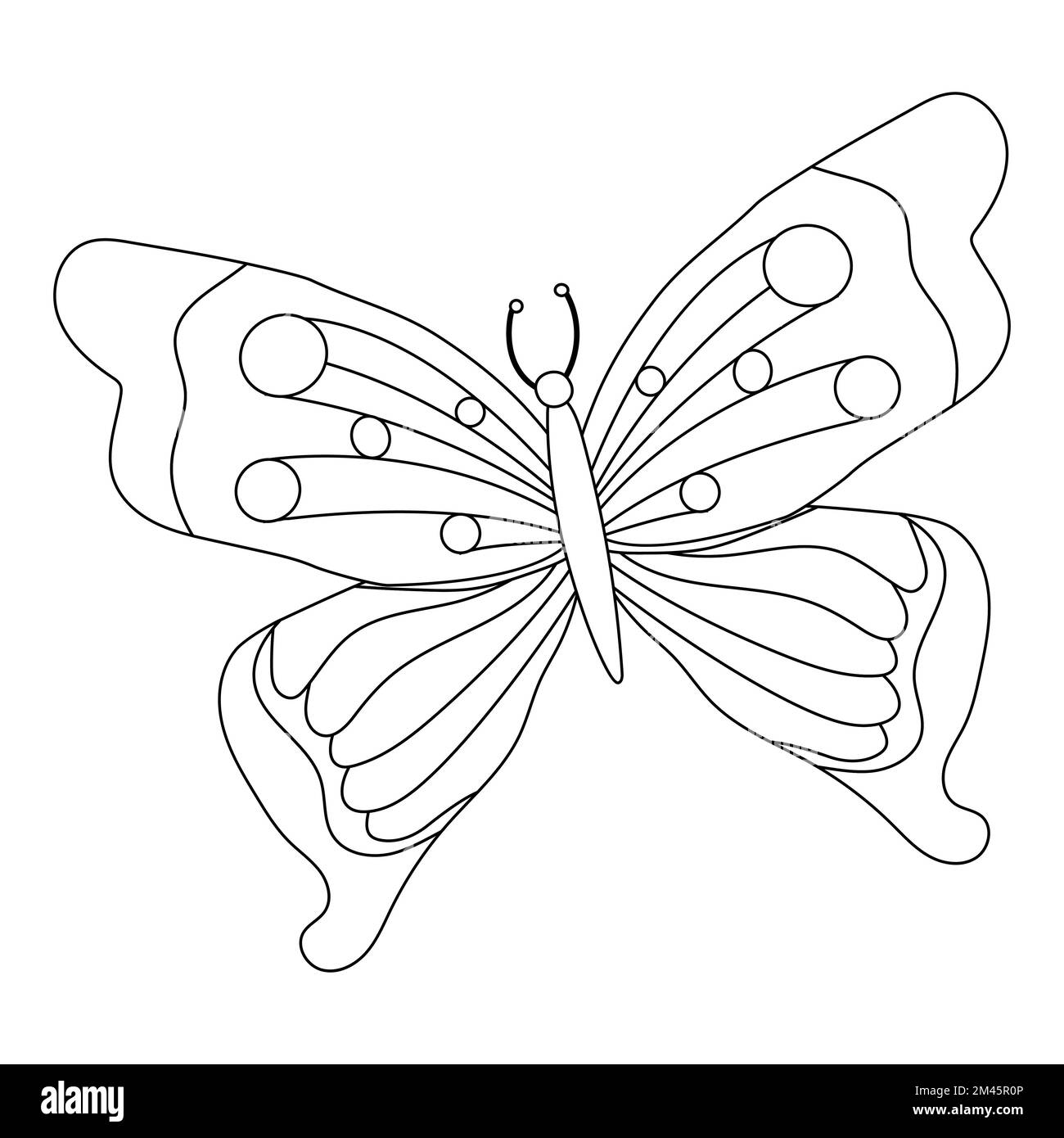 hand-drawn-butterfly-outline-illustration-stock-vector-image-art-alamy