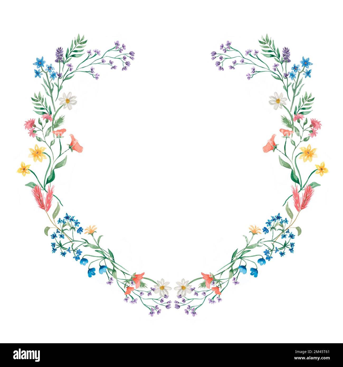 Hand drawn watercolor spring and summer floral wreath illustration ...