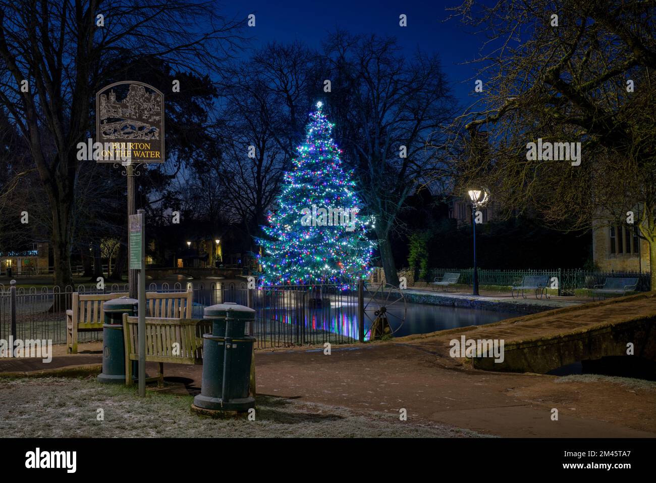 Christmas tree in the frost at dawn. Bourton on the Water, Cotswolds