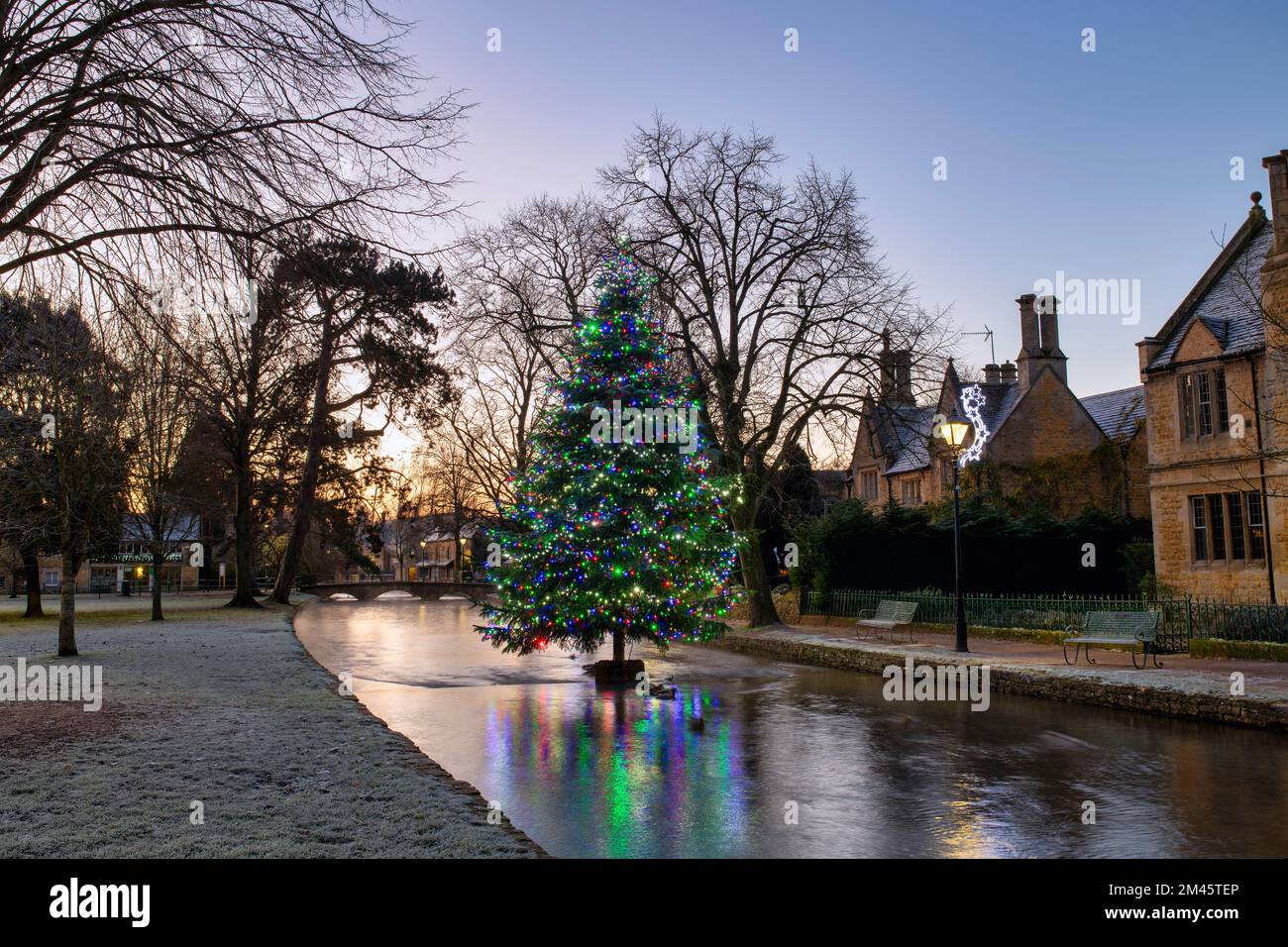 Christmas tree in the frost at dawn. Bourton on the Water, Cotswolds, Gloucestershire, England
