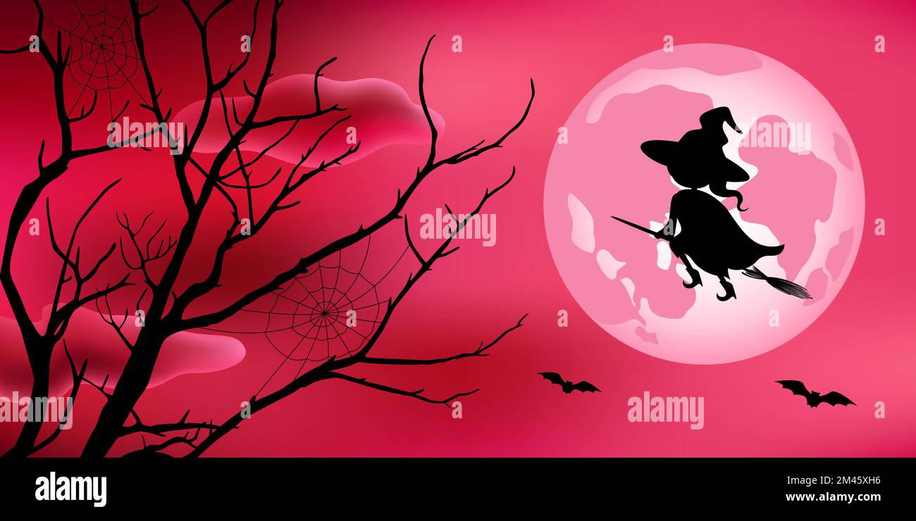 Witch flying on broom on full moon background. Vector illustration. Stock Vector