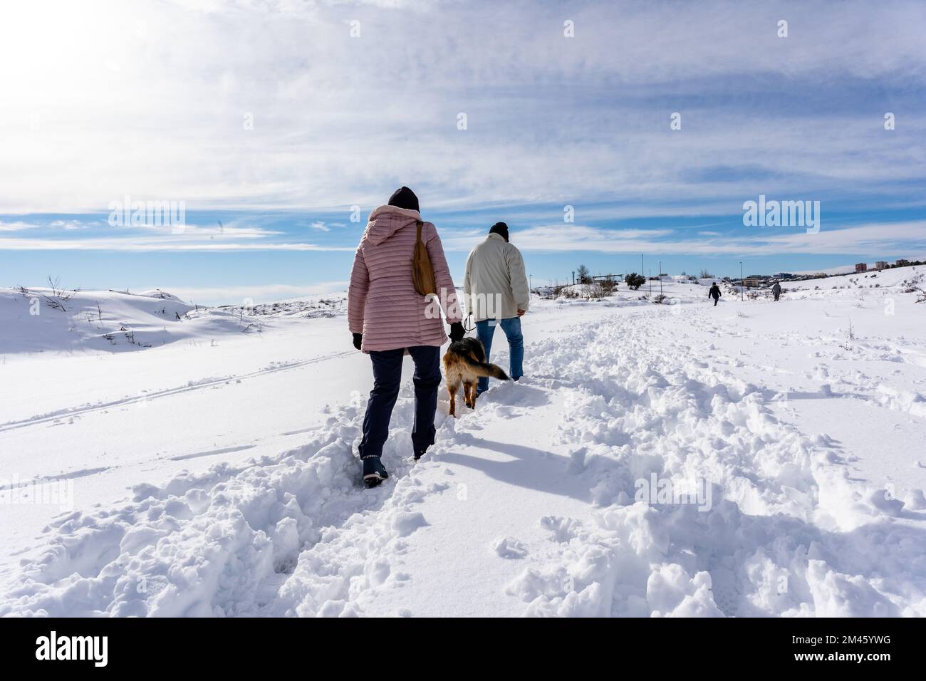 Two people walking with their dog outdoors on the snow in a winter day. Winter season concept. Stock Photo