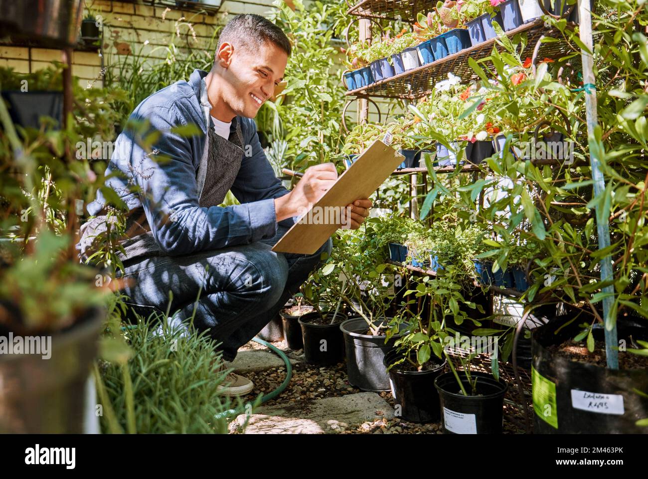 Green, plants and man with checklist, inventory check at nursery, plant store and garden business. Stock inspection, quality assurance and nature Stock Photo