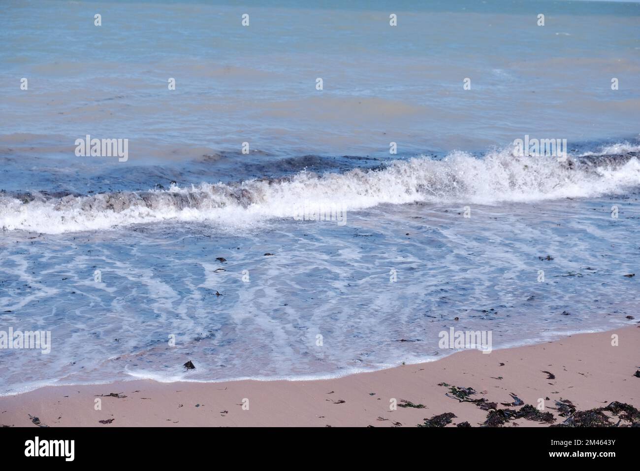 The splashing waves of the sea at the sandy shore Stock Photo - Alamy