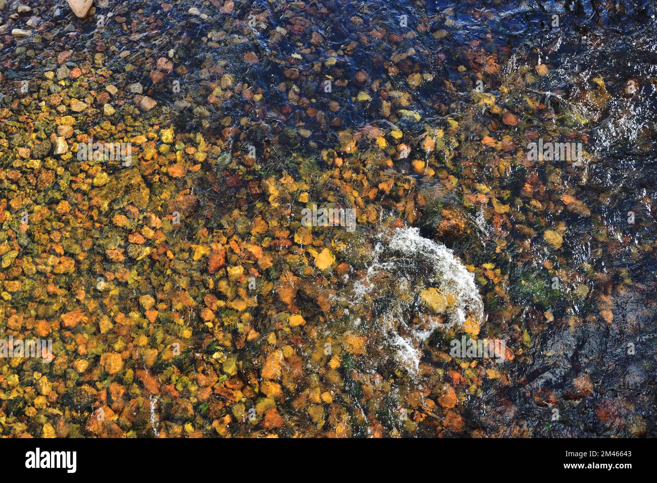 Shallow water flowing over a riverbed of stones. Stock Photo