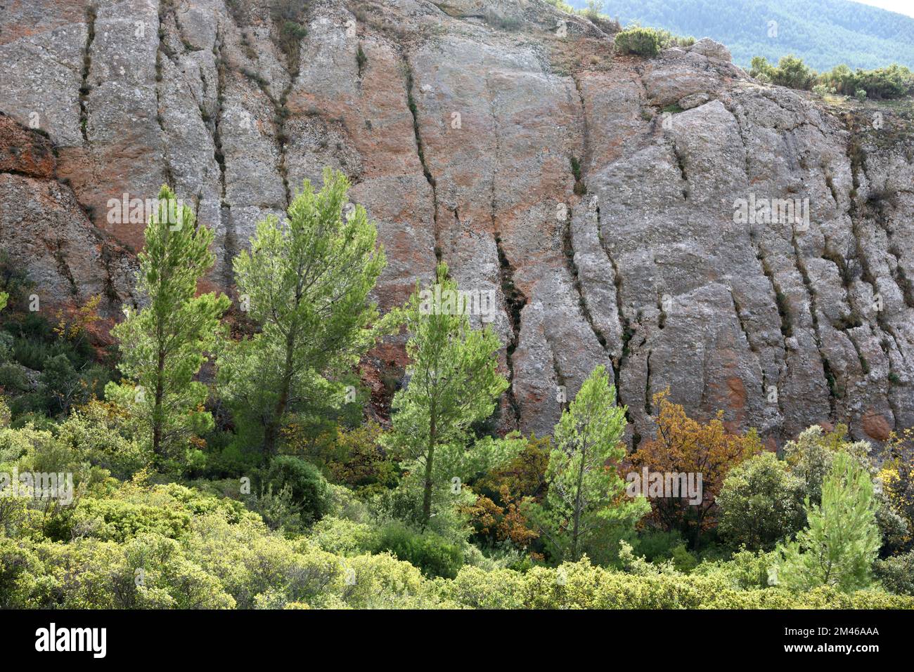 Outcrops of Ochre Clay and Calcareous Composite Rocks to south of the Montagne Sainte Victoire Nature Reserve Provence France Stock Photo