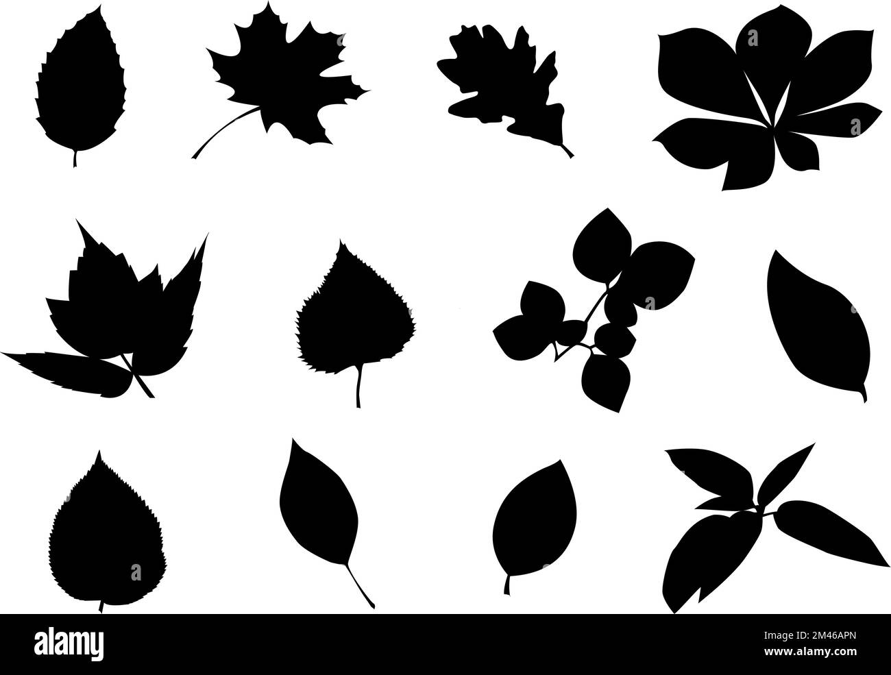 Vector leave silhouettes on isolated background. Icon set Stock Vector ...