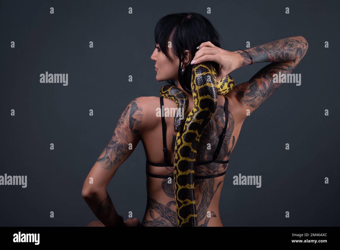 Image of the woman from back holding anaconda along the spine in shadows Stock Photo