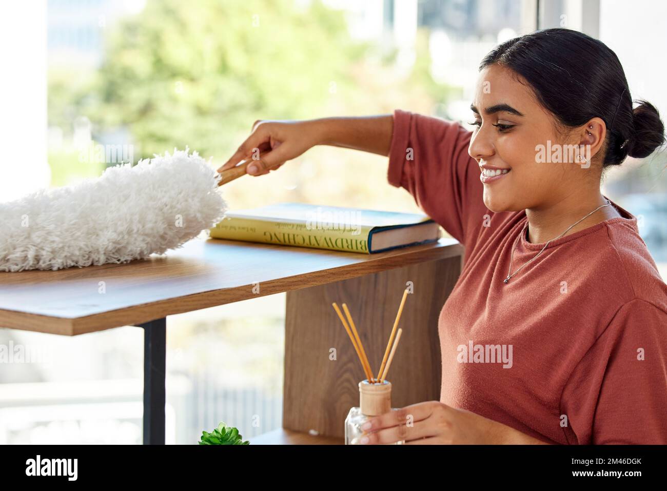 Dusting furniture hi res stock photography and images Alamy