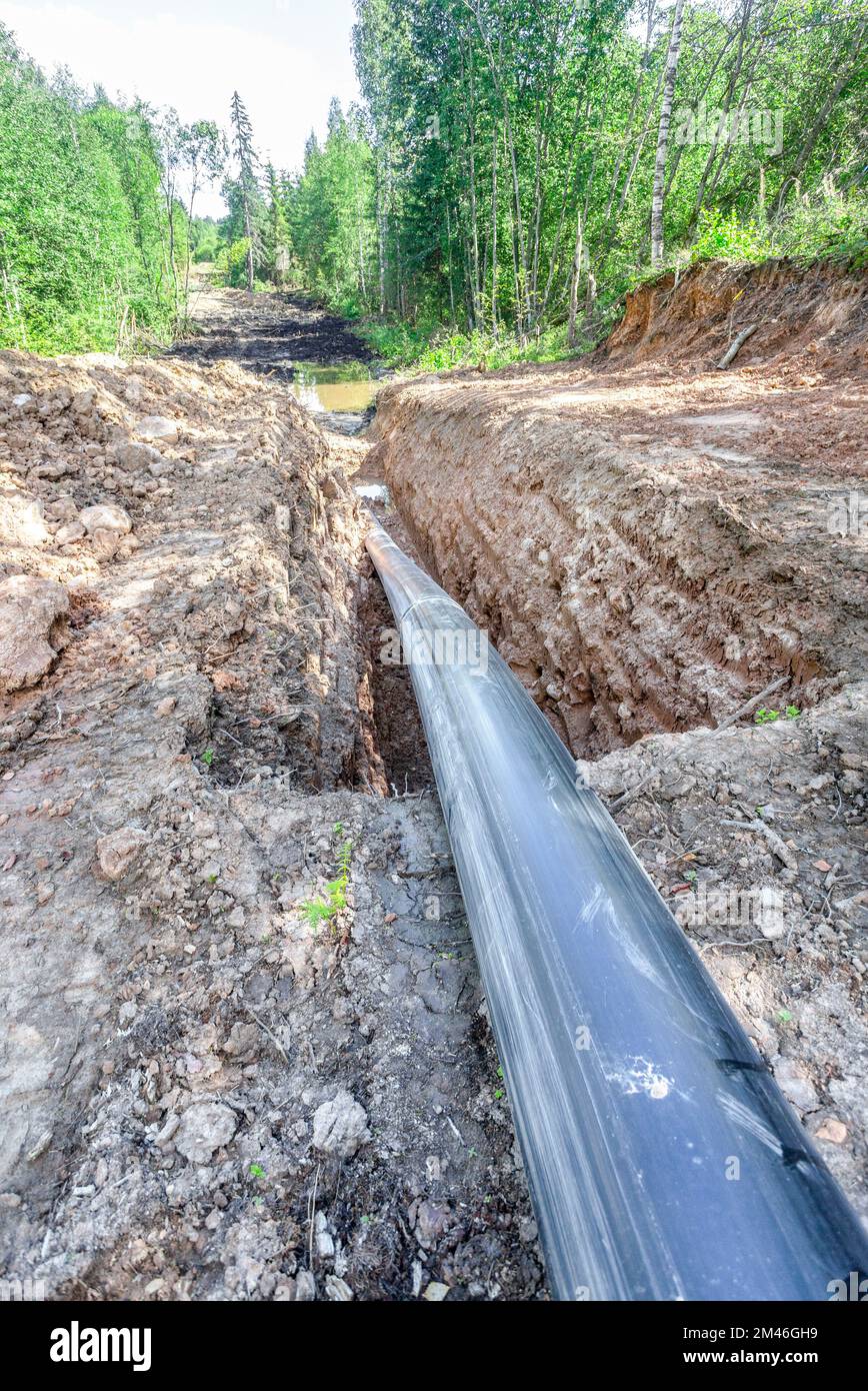 Laying a plastic gas pipeline pipe in a trench in the summer. Gas