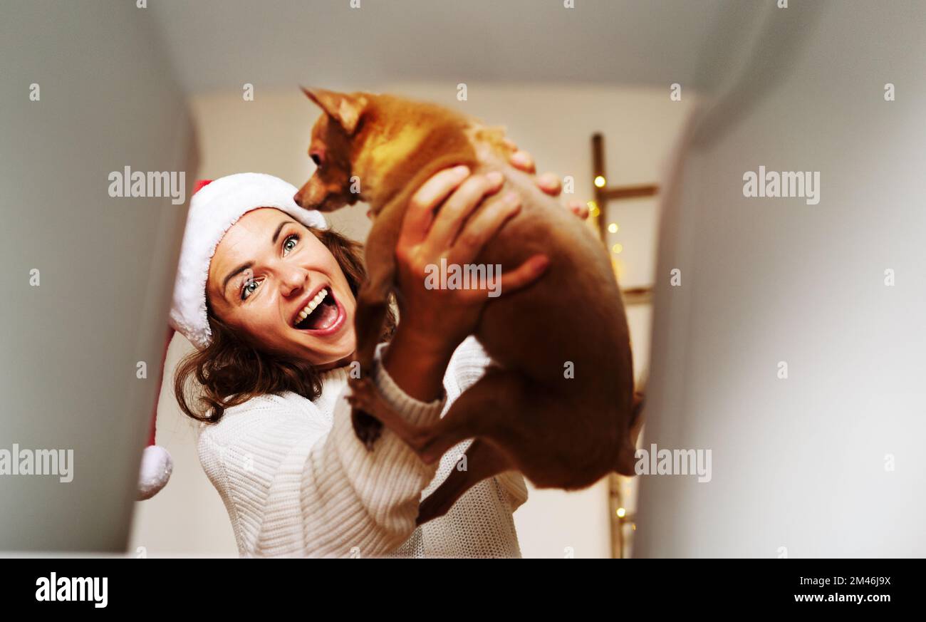 Surprised woman wearing Santa hat getting out small dog from Christmas gifting box. Stock Photo