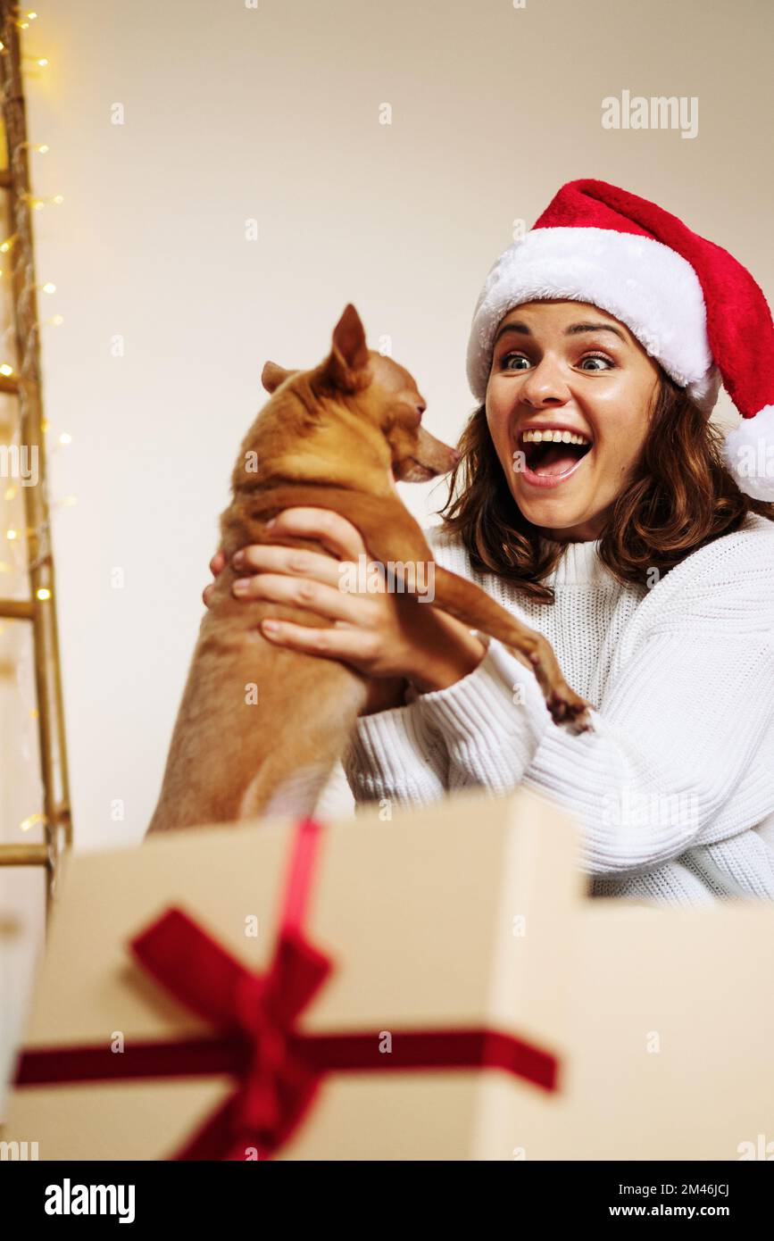 Surprised woman wearing santa hat getting out small dog from Christmas