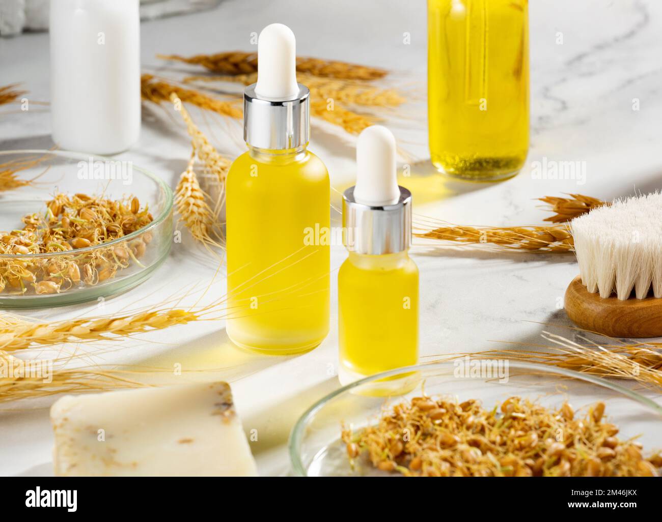 A conceptual composition of wheat essential oils, a bath brush and