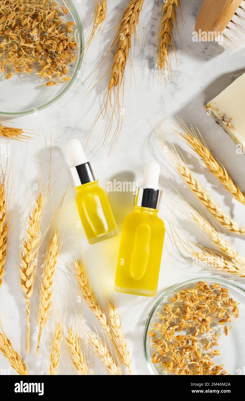 Oil with serum for skin and hair care. Conceptual composition of wheat