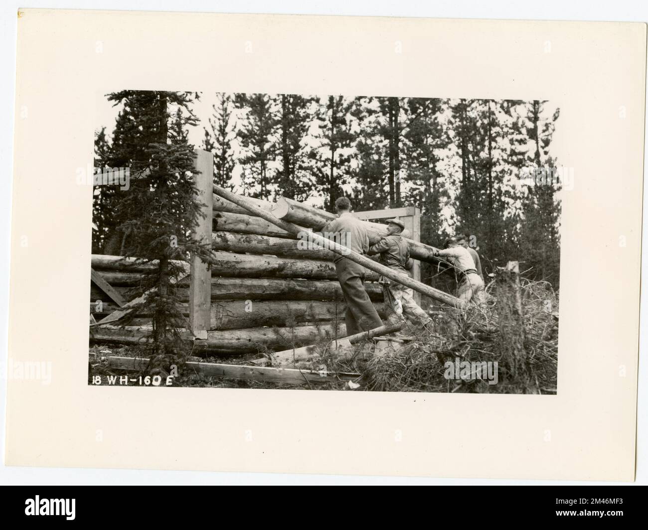 Constructing Log House Living Quarters in Whitehorse. Original caption