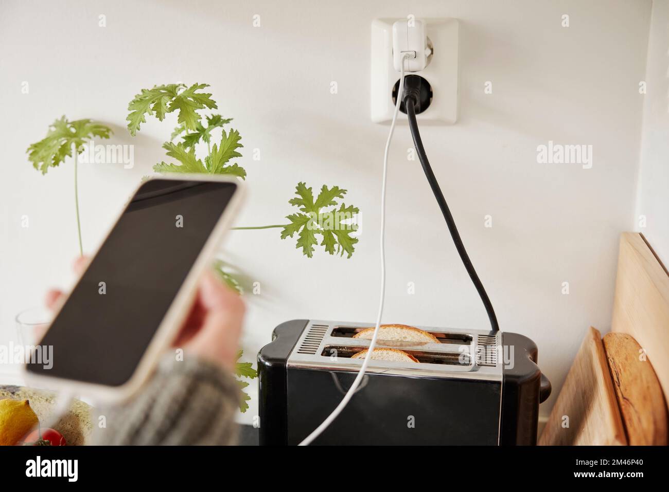 Is It Safe To Leave Your Toaster Plugged In at Antoine Oneil blog