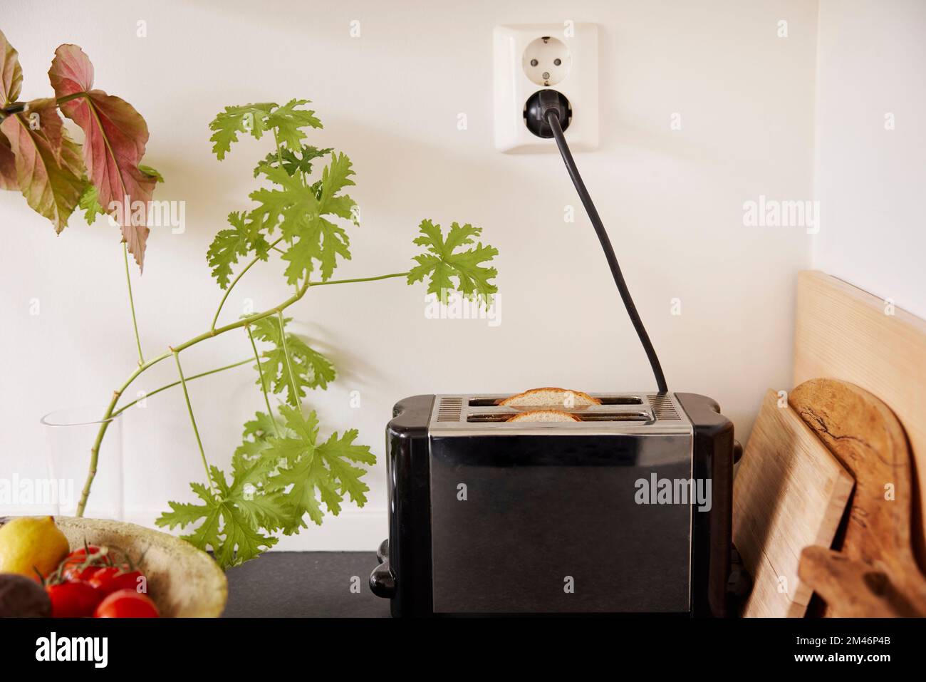 Toaster plugged into an outlet Stock Photo Alamy