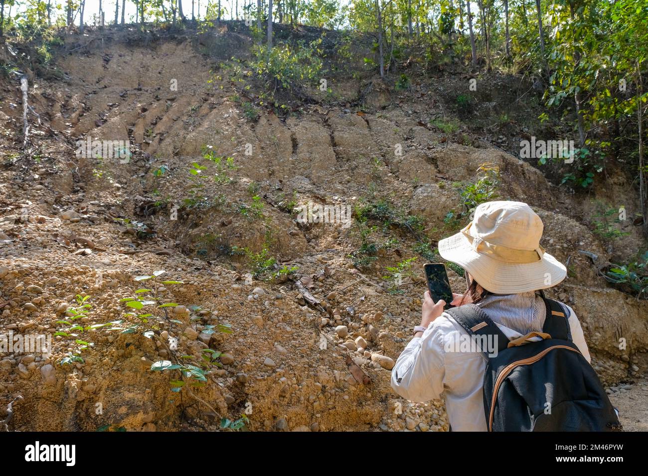 Female geologist using mobile phone inspecting nature, analyzing rocks or pebbles. Researchers collect samples of biological materials. Environmental Stock Photo