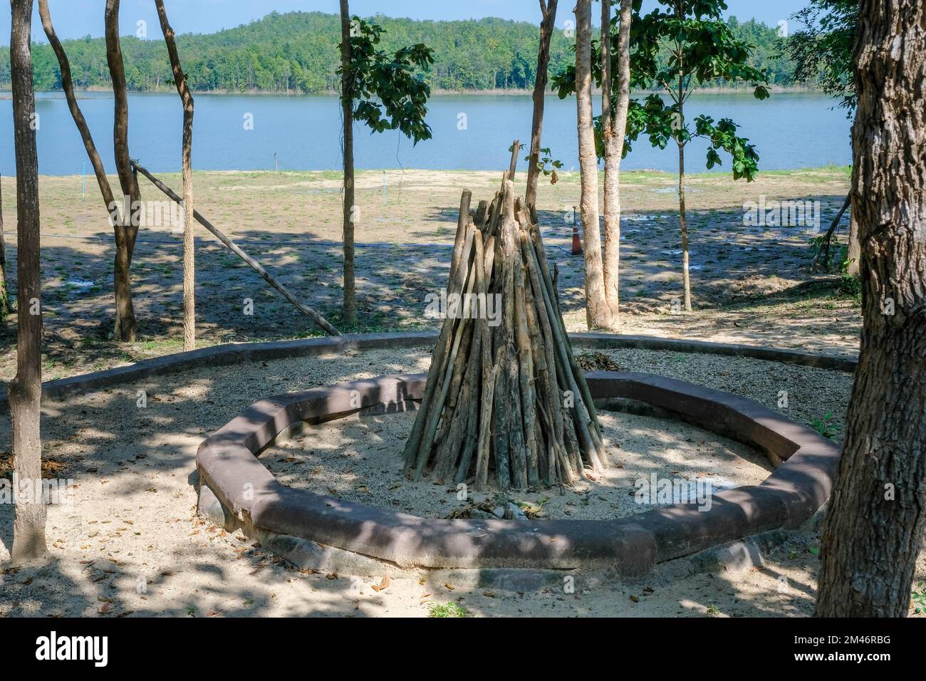 Branches pile for campfire in the woods. Stock Photo