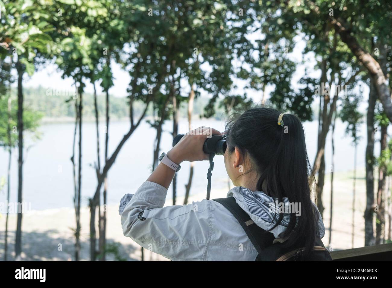 Hiker young woman looking birds through binoculars telescope in forest ...