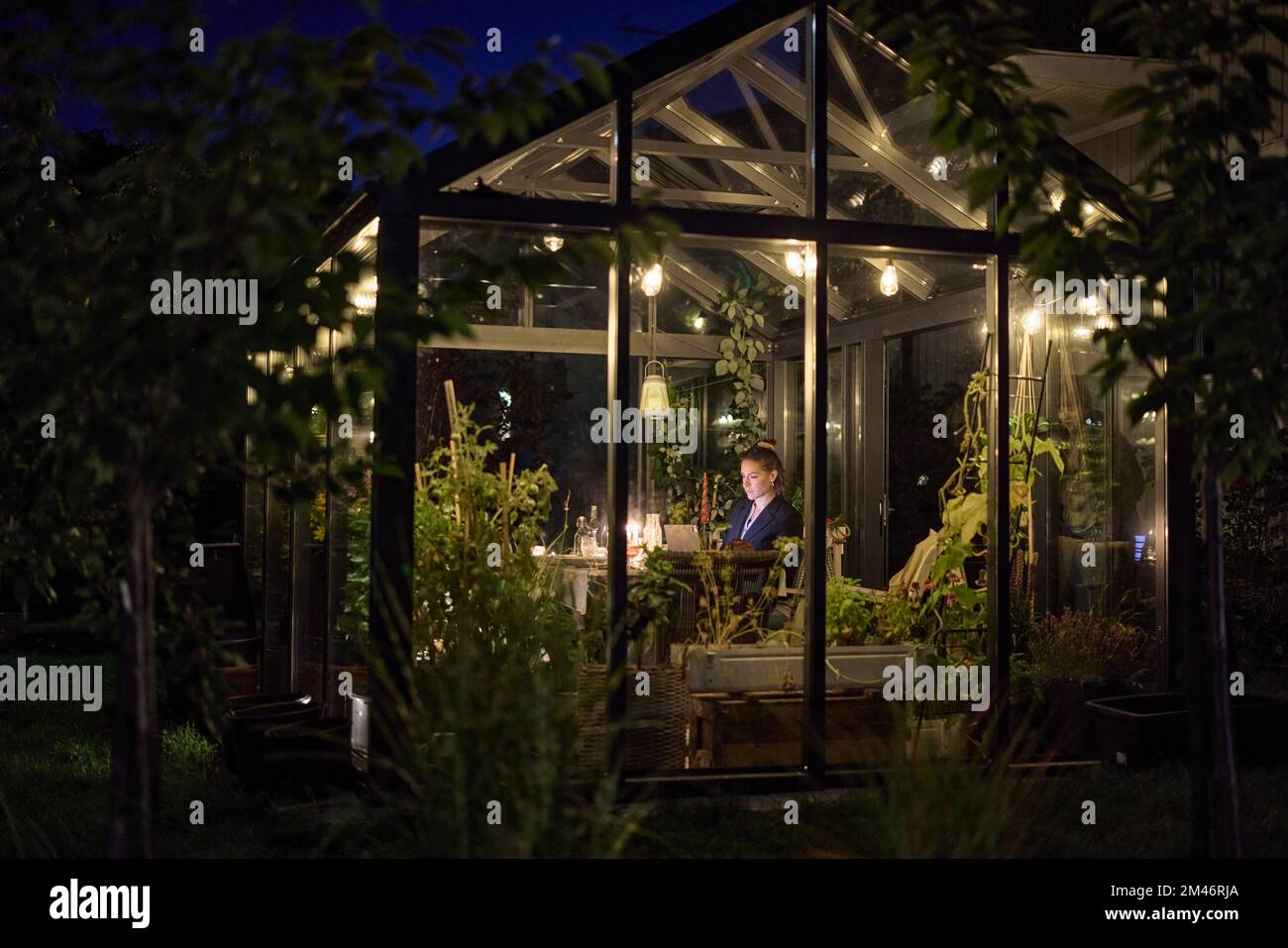 Greenhouse illumination hi-res stock photography and images - Alamy