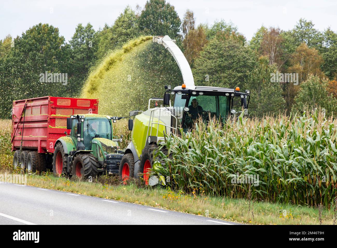 Tractor and combine harvesting corn Stock Photo