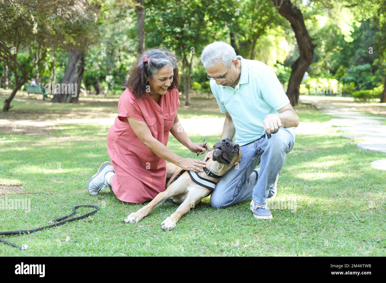 Happy indian senior couple playing with dog in summer park. Retirement life, retired people enjoying life in garden. having fun. Stock Photo