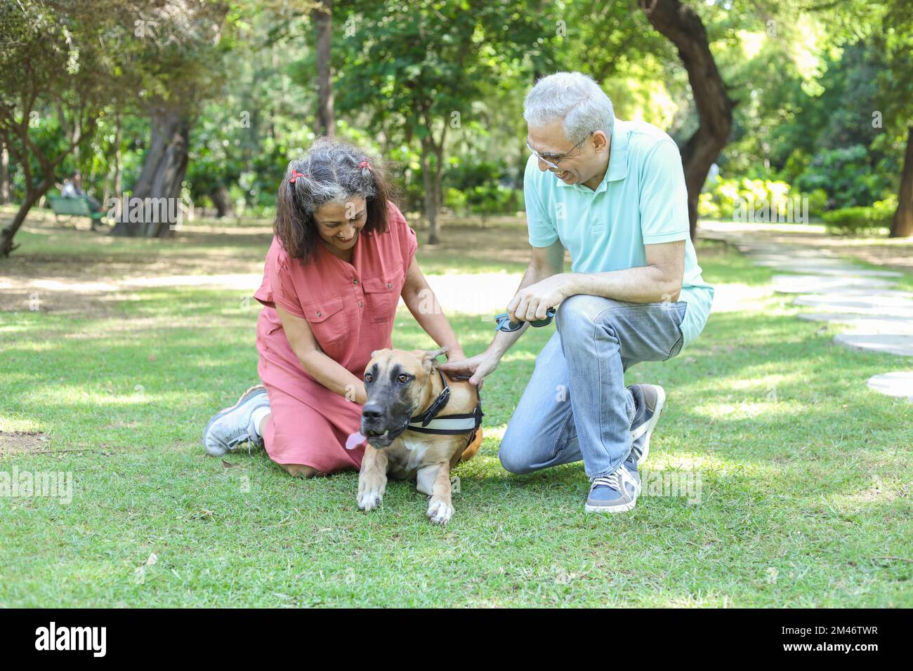 Happy indian senior couple playing with dog in summer park. Retirement